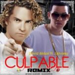 David Bisbal Ft. J Alvarez - Culpable MP3